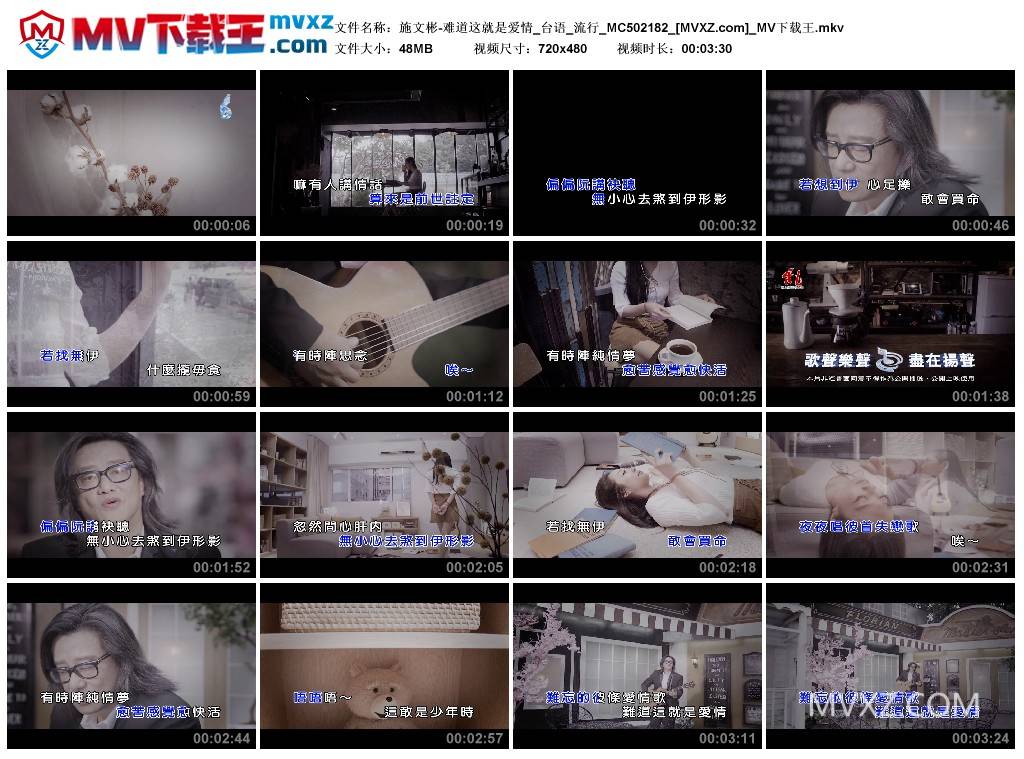 施文彬-难道这就是爱情_台语_流行_MC502182